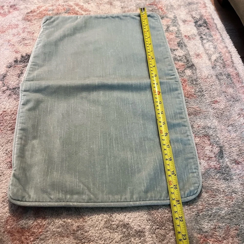 Velvet Cushion Cover-purchased from restoration hardware